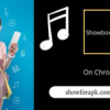 How To Use Showbox Chromecast,