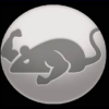 Catmouse Apk download Catmouse latest v3.6 for android 2023