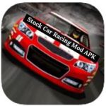 Stock Car Racing Mod APK
